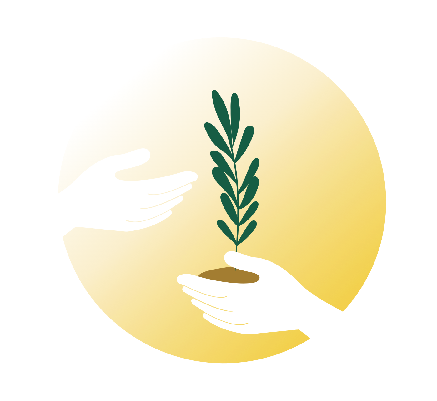 hands holding plant.png