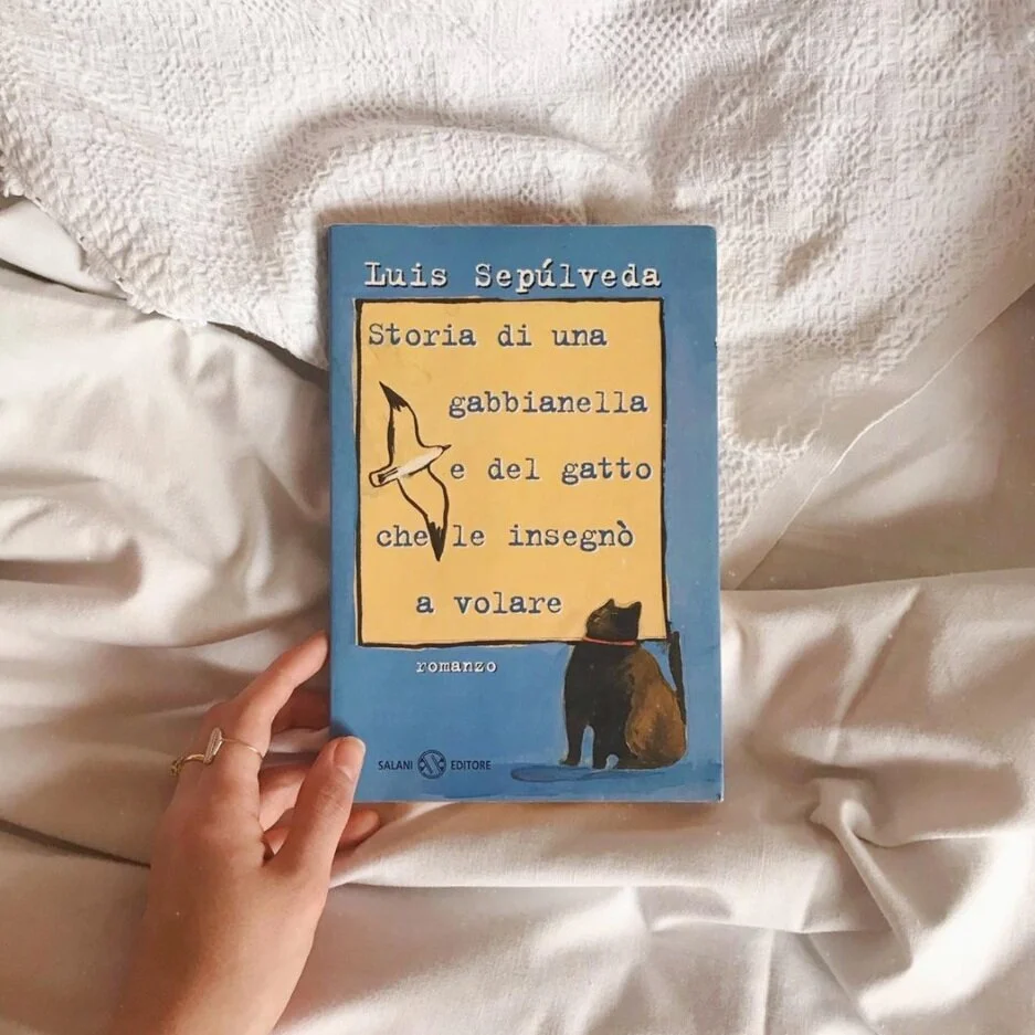 (Insta: @martymezzadri)