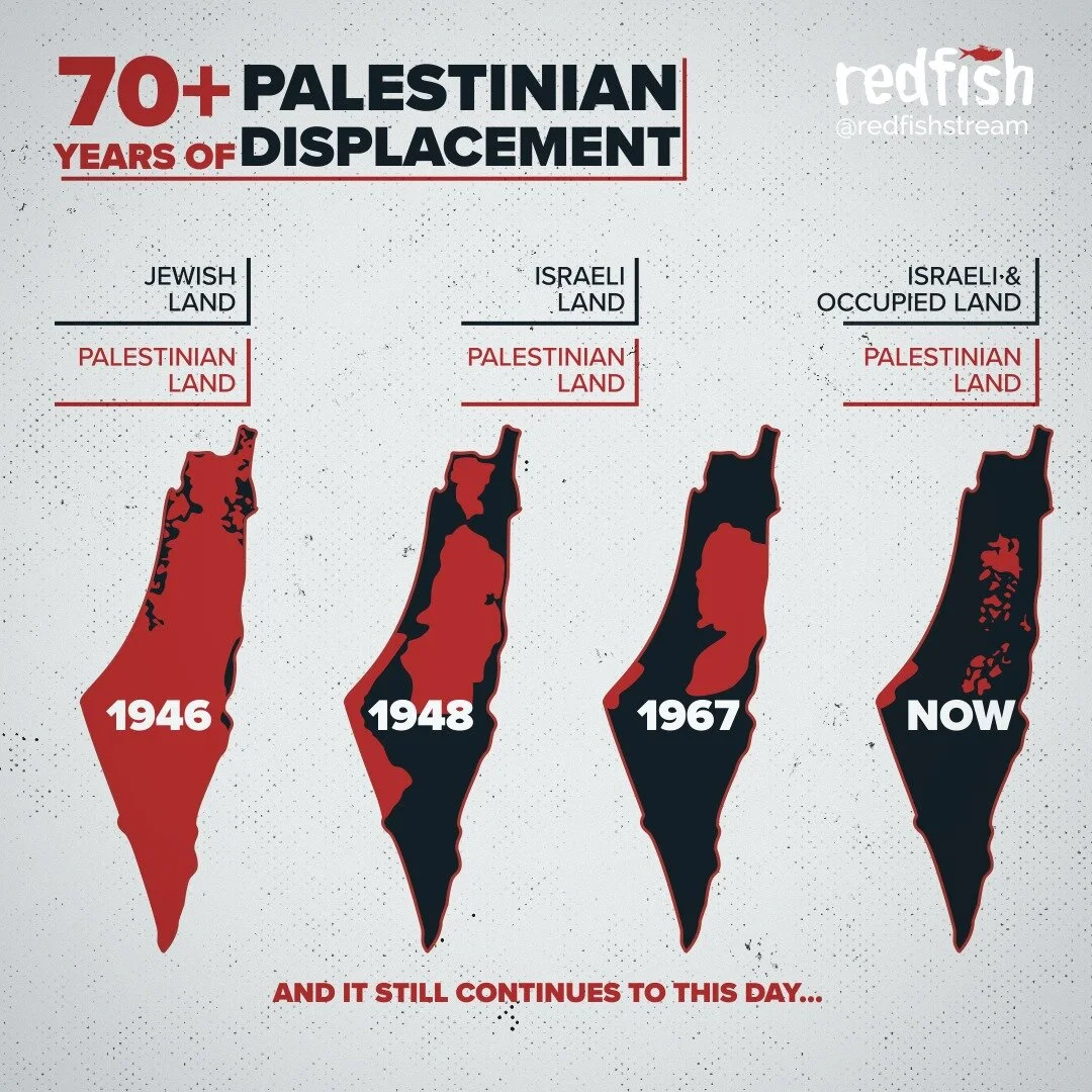 The expansion of Israeli territories as Palestinian lands shrink, by Palestineportal.org (recreated by Redfish media)