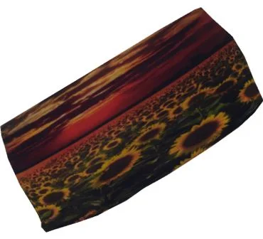 Sunflower Winter.JPG