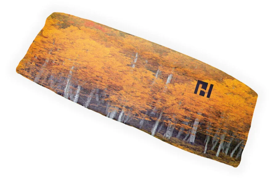 Aspen Trees - Summer Headband