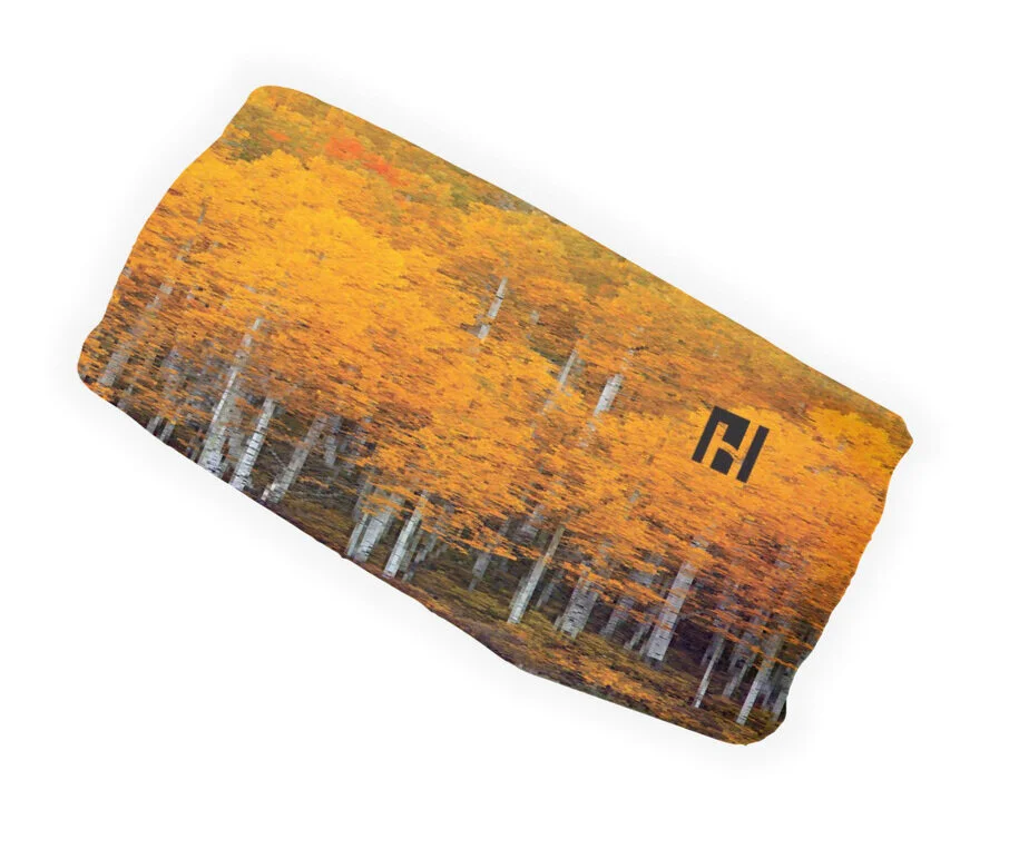 Aspen Trees - Winter Headband