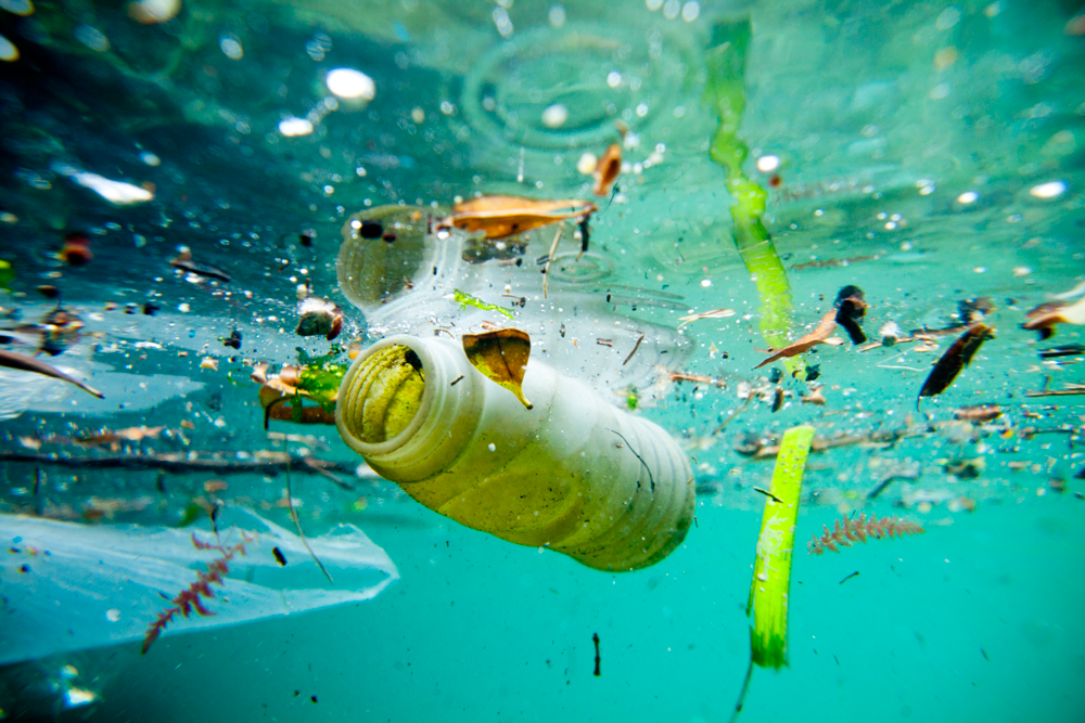 Photo from: National Geographic