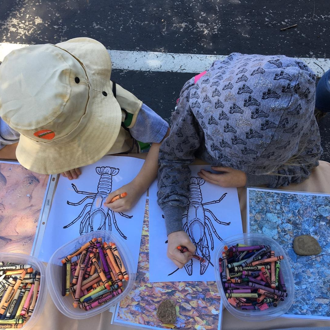 Pre-K Outdoor Adventure!