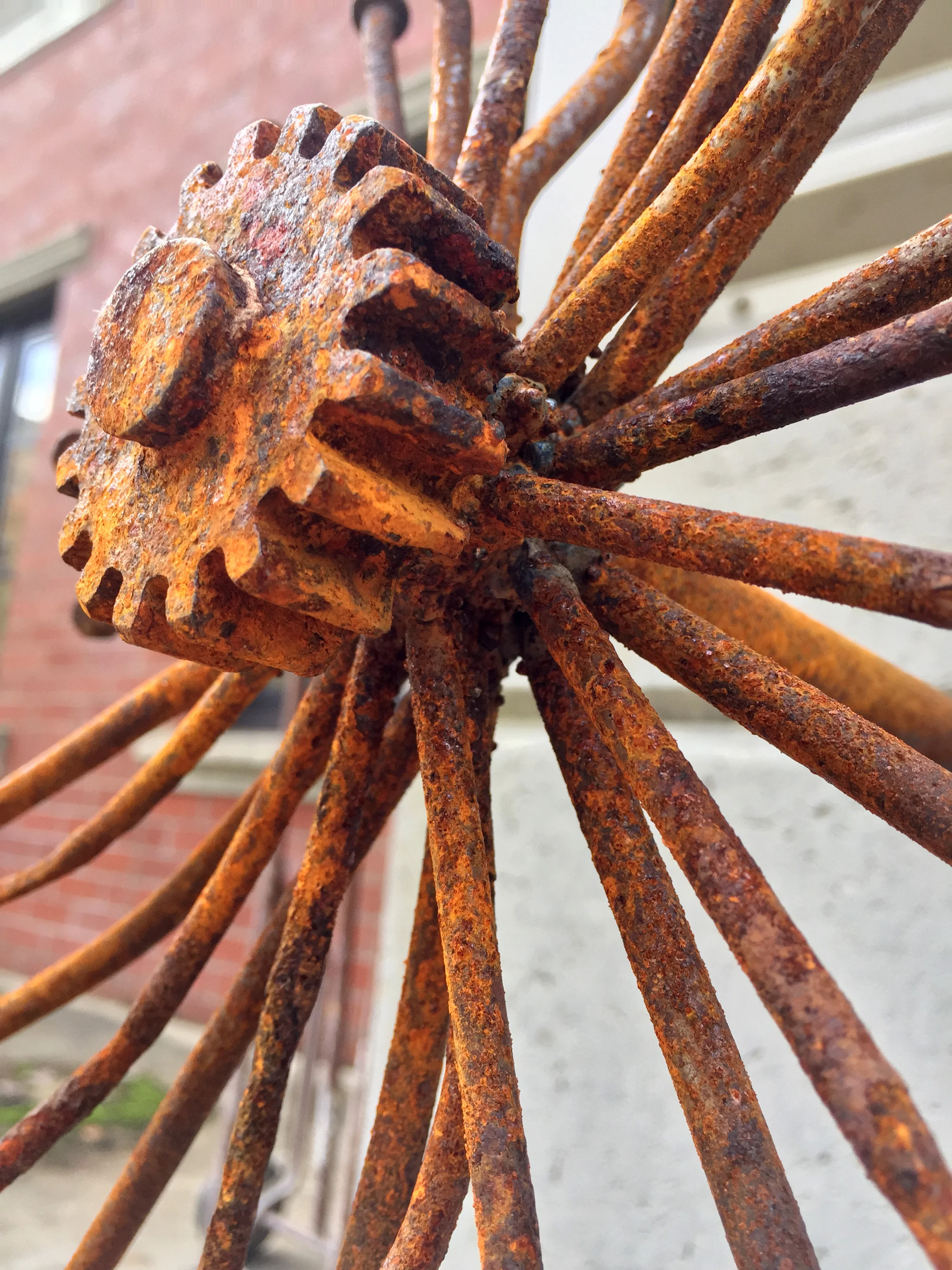 rusty_flower_3.JPG