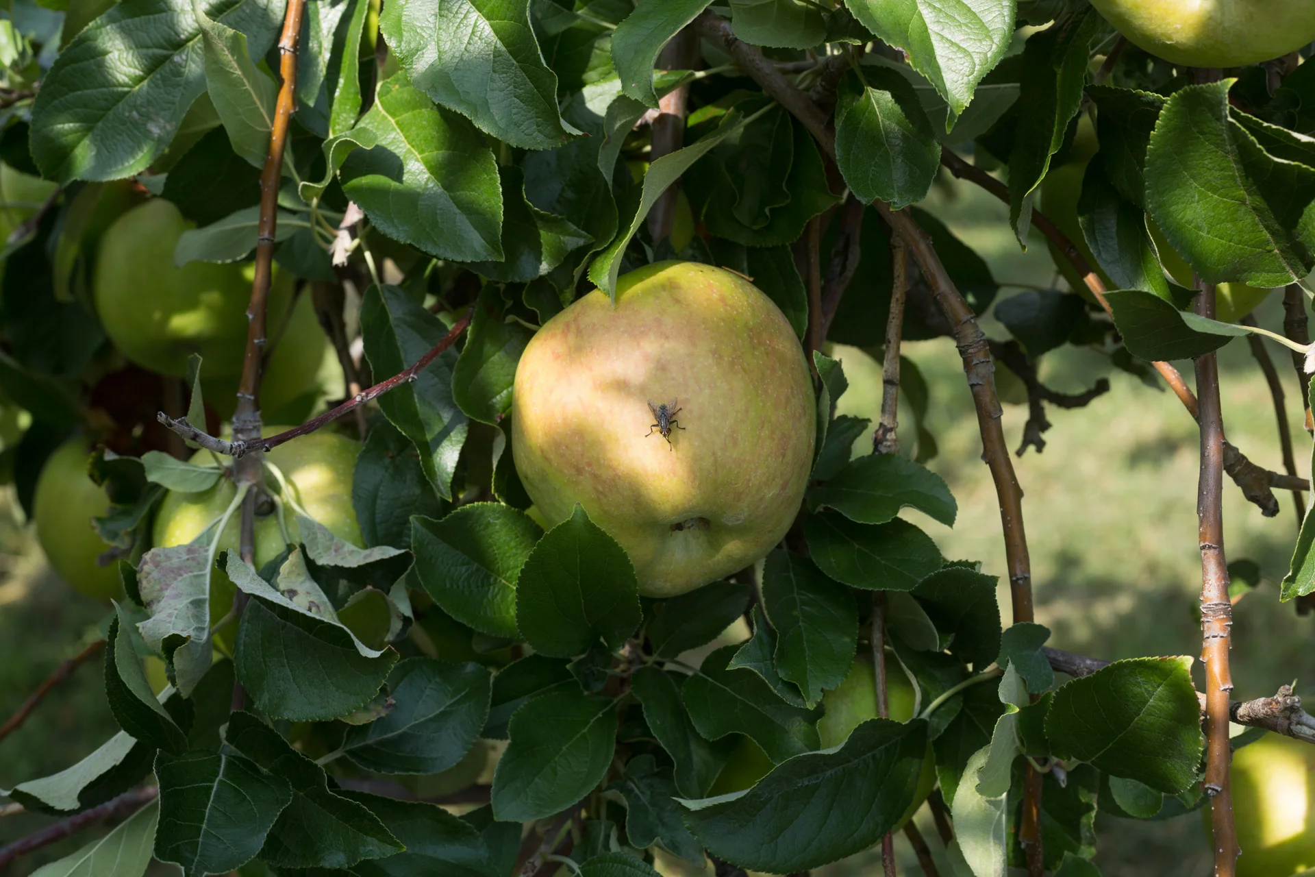 JW9A3962.jpg
