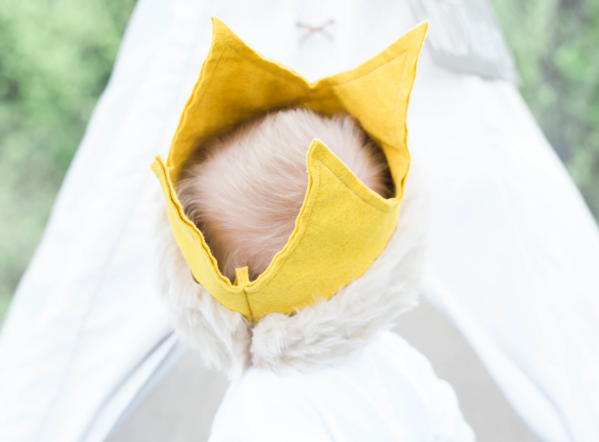 Deklan (45 of 224).jpg