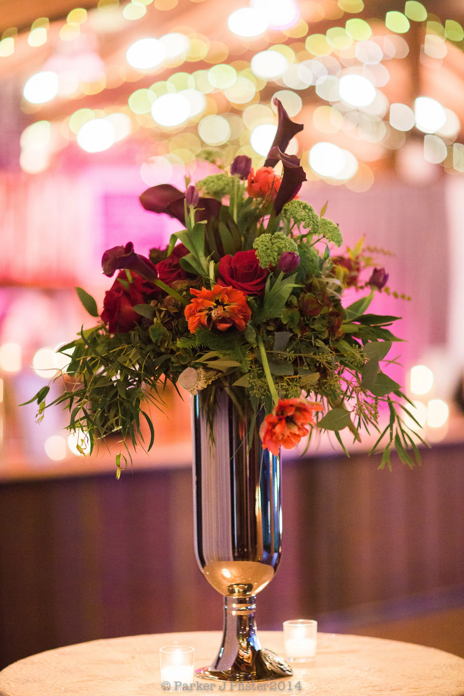 141010_snyder_033.jpg