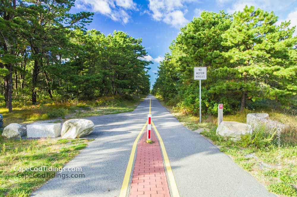 Cape-Cod-Rail-Trail-Wellfleet-MA.jpg