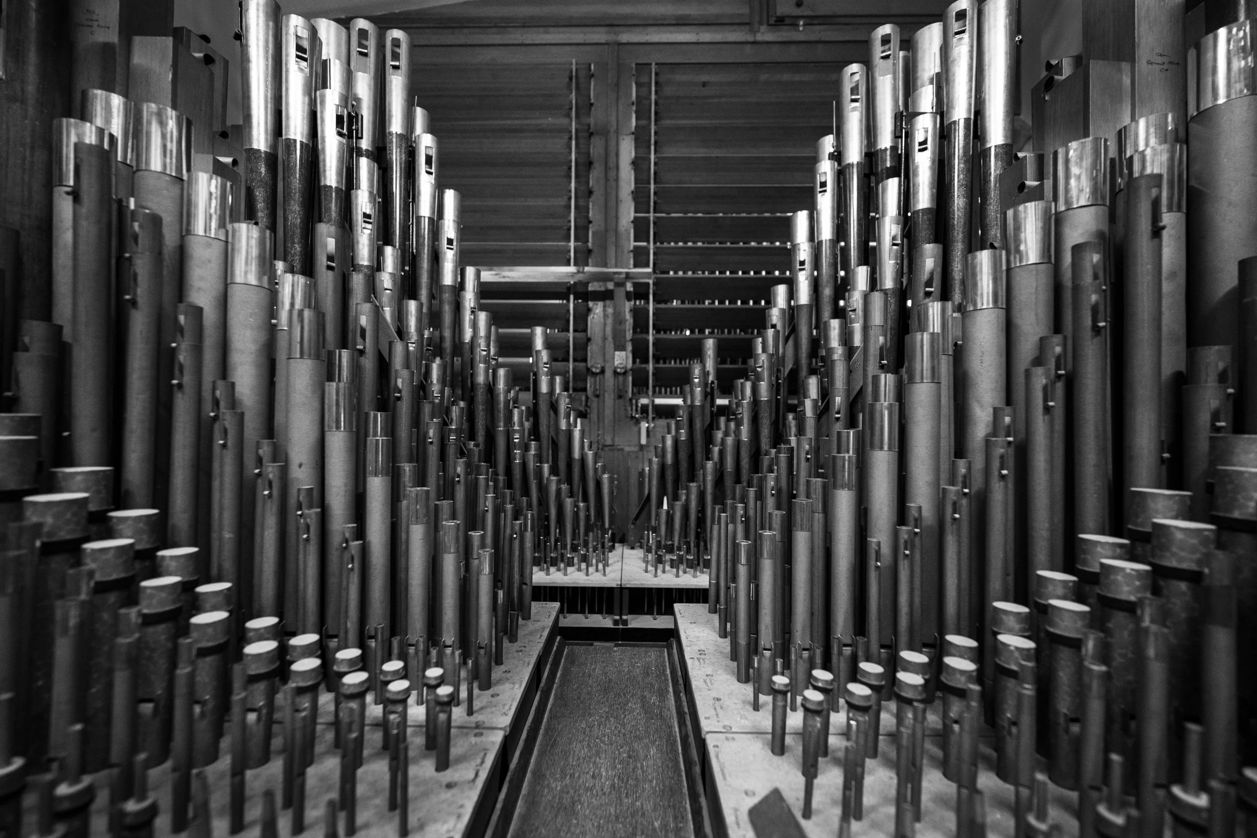 EricDPlutz_100725_0096 (Smaller File).jpg