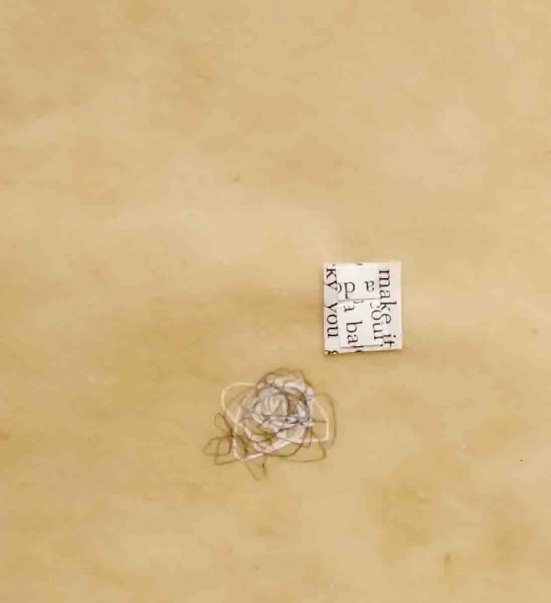 Three Things, no.3 (detail 1)