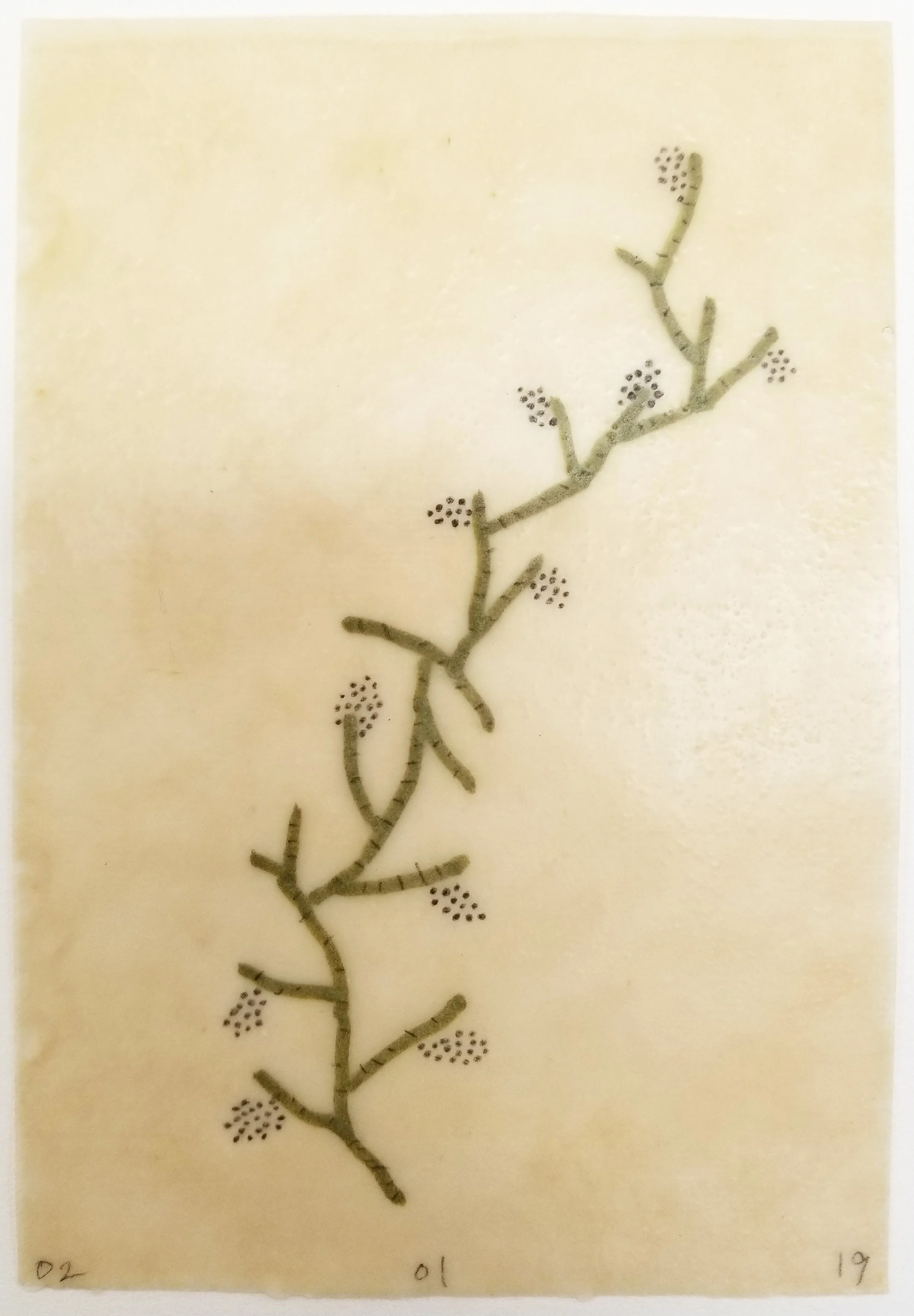 Daily drawing, February 1, 2019