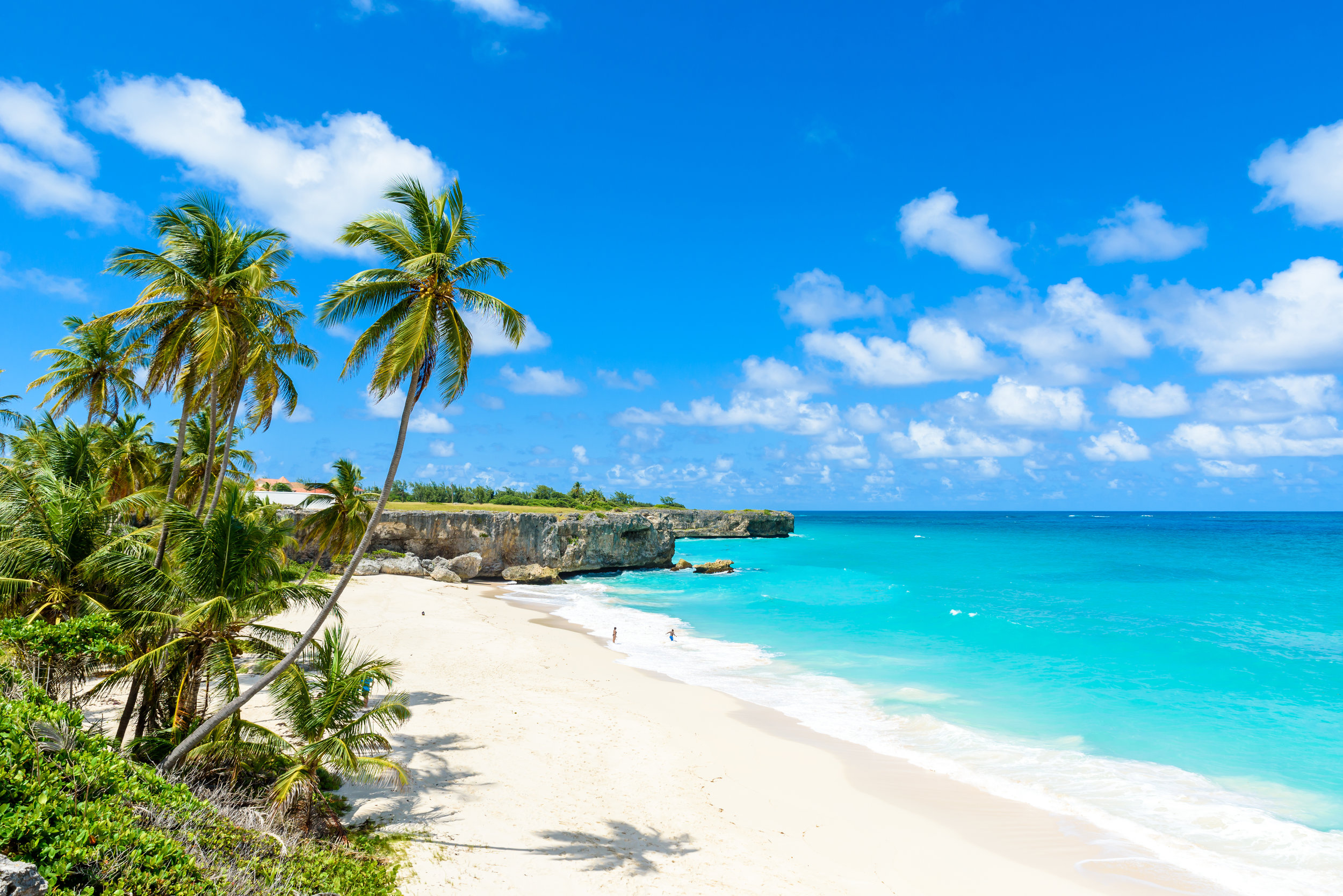 Barbados Beach.jpeg