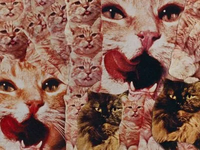 CATS, BIRDS & ASPARAGUS: RESTORED INDEPENDENT ANIMATION | THE ACADEMY & THE AVANT-GARDE