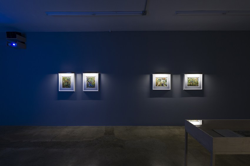 2_SP_Joy_Street_installation_view_16.jpg