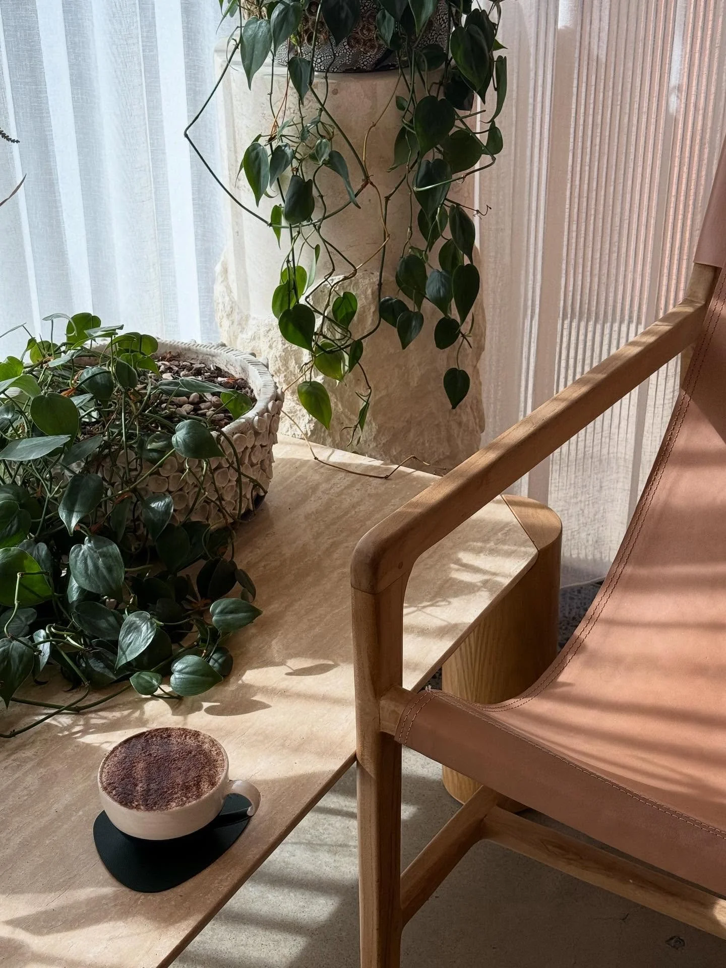 Mornings with Muse 🫶🏼