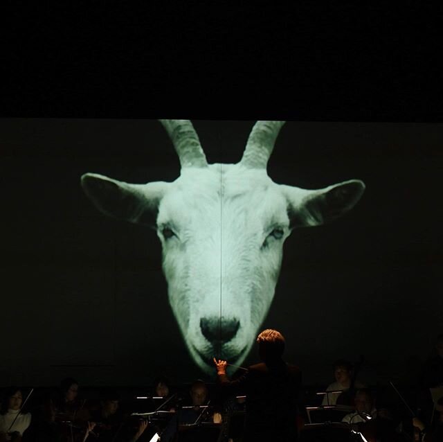 My view during the introduction of first act Traviata in Japan... #traviata #orchestraensemblekanazawa