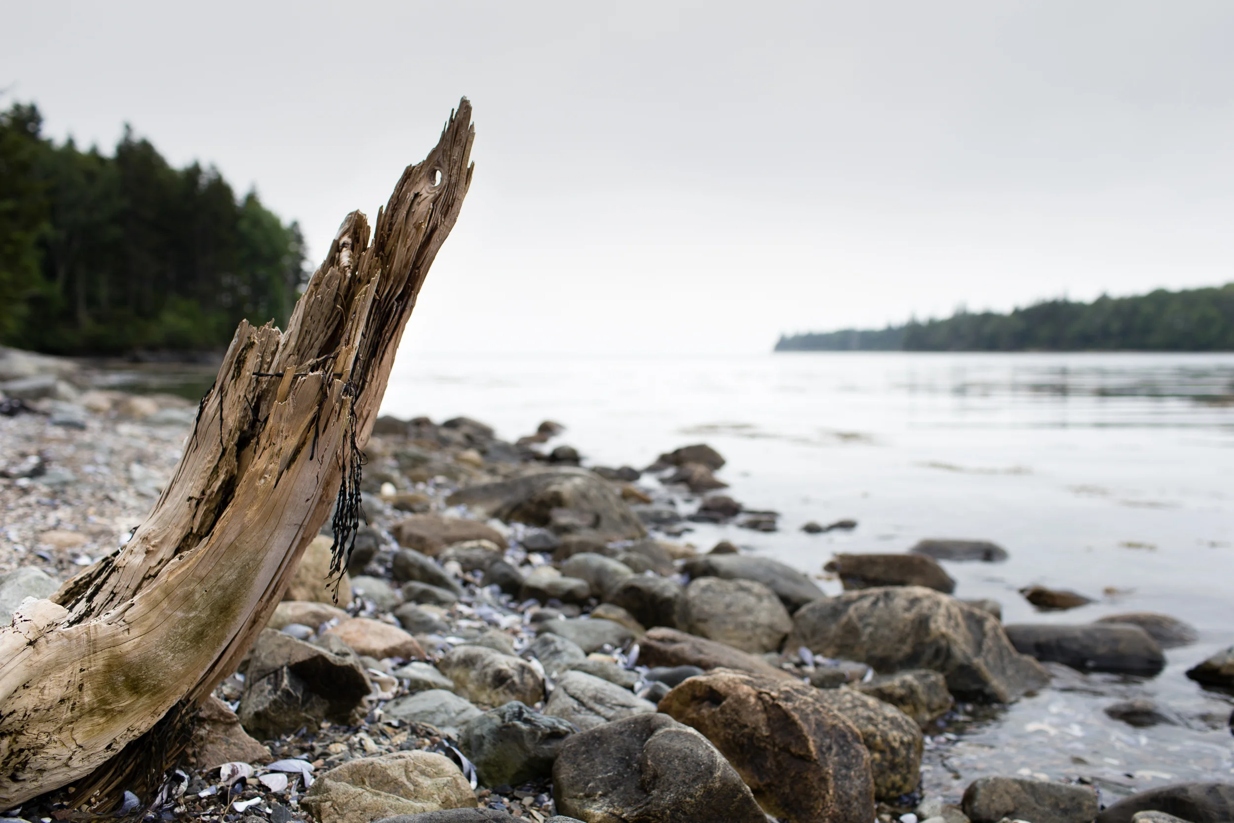 maine-landscape-photography-anna-mcclellan-photography-3007.jpg