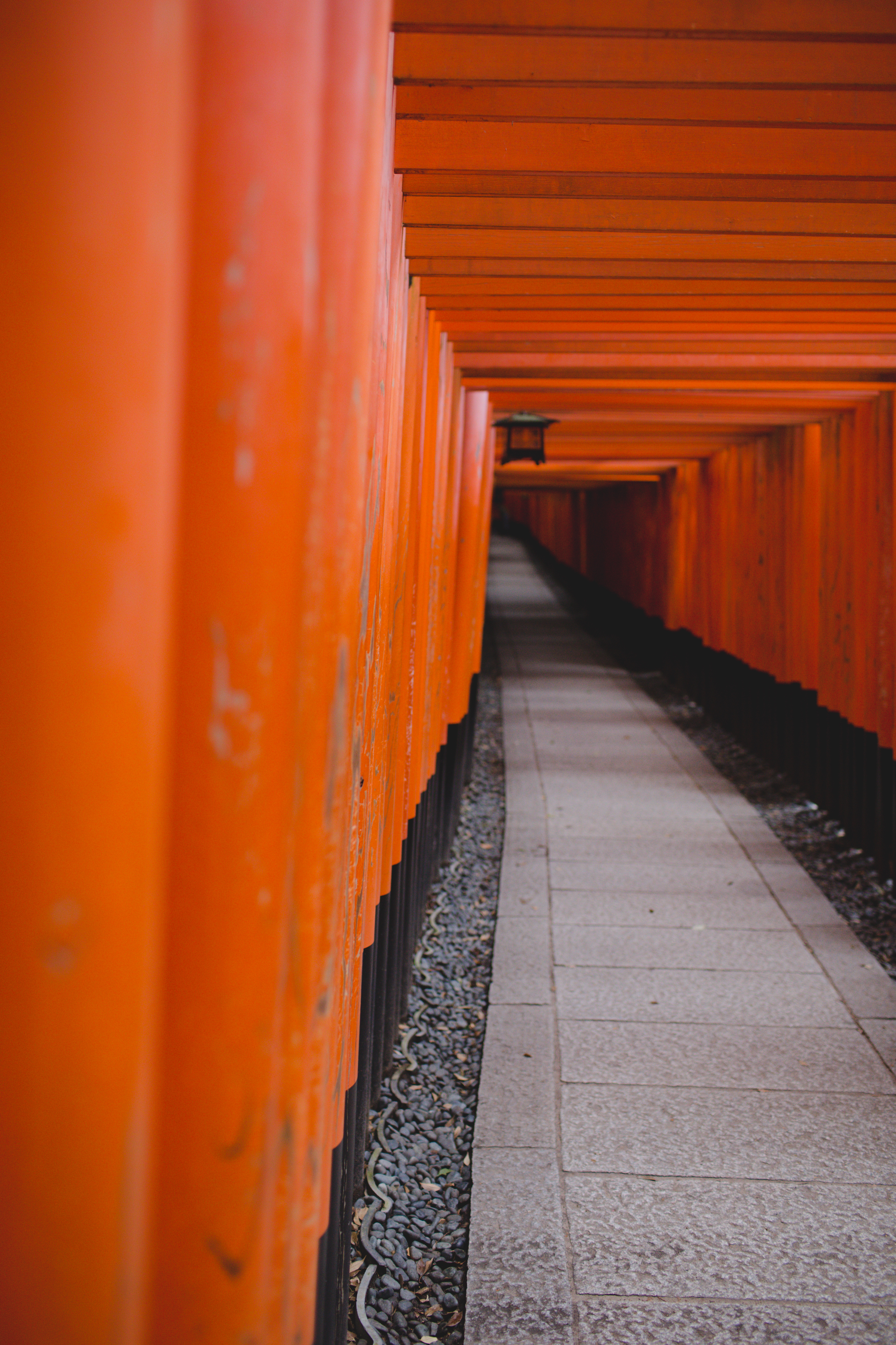 japan 2018-99.jpg