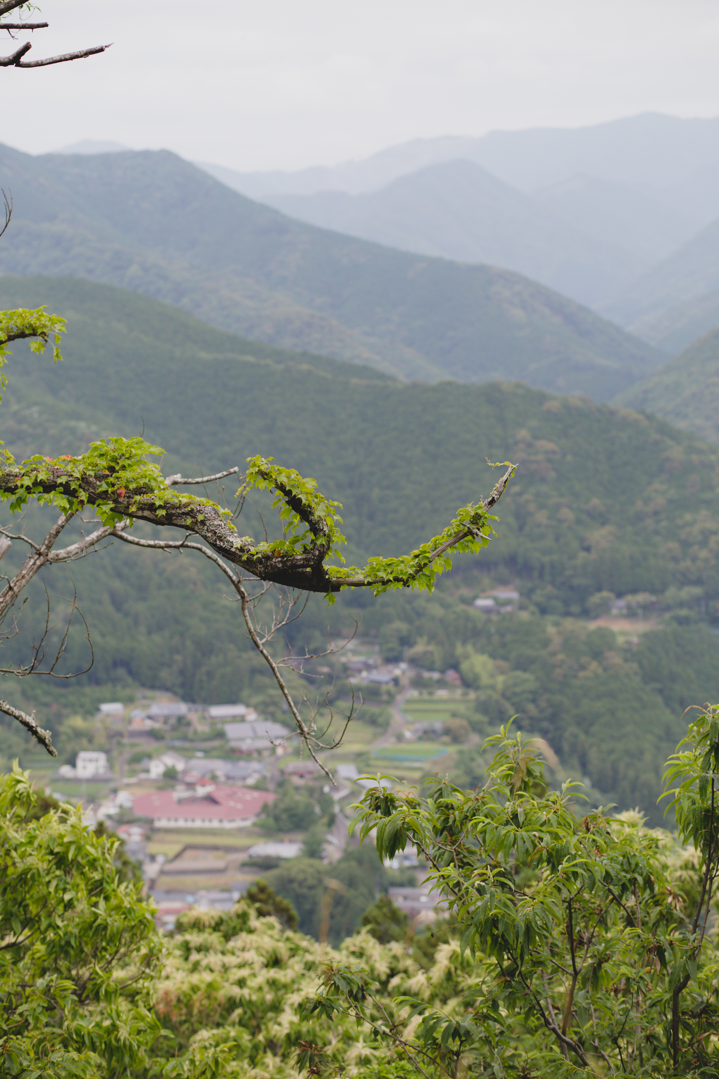  The Kumano Kodo trail passes through small mountain villages along the way. 