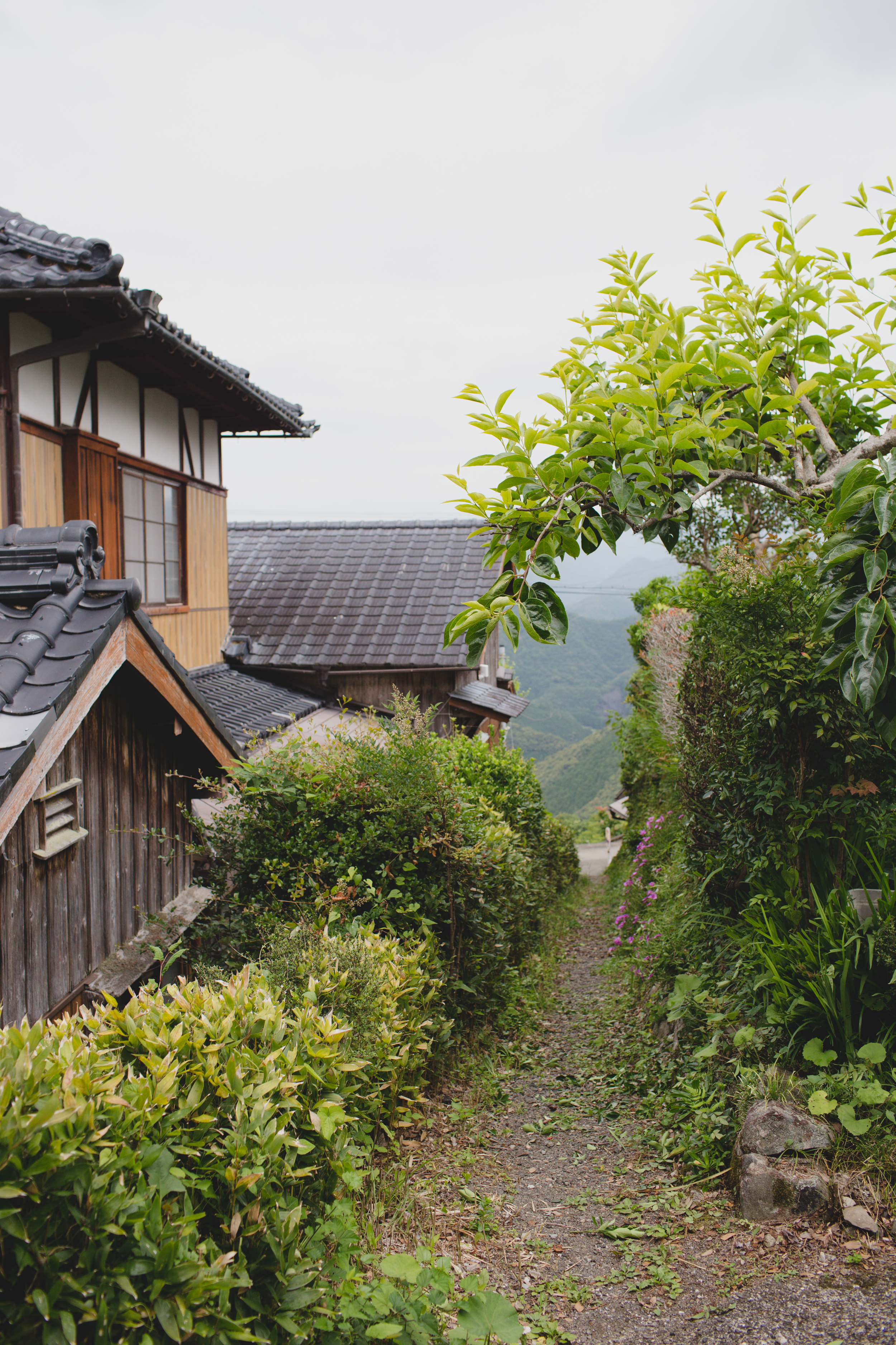 japan 2018-130.jpg