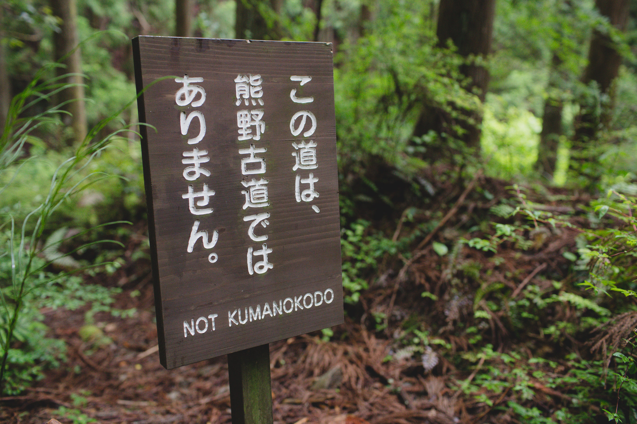  The path was well marked with ‘Kumano Kodo’ signs and ‘Not Kumano Kodo’ signs 