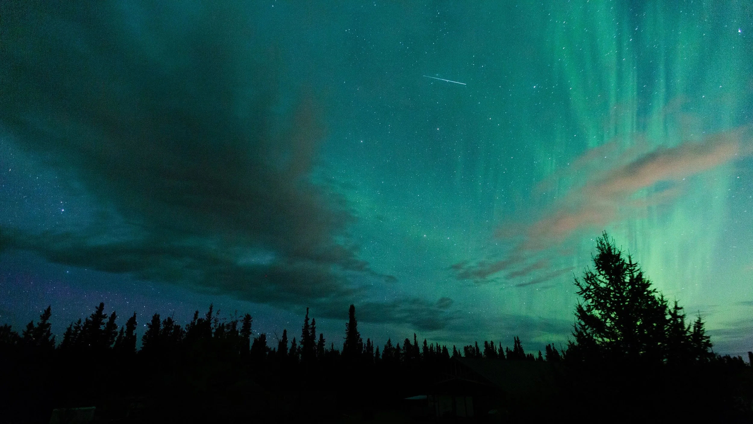 Family-Friendly Adventure to the Yukon
