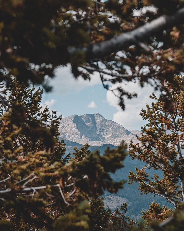 Last night I was telling Lucy, &ldquo;I want to go to New England in the fall... actually, I want to go to Colorado in the fall sometime too.&rdquo; All the yellow aspen trees filling my newsfeed this month has me wishing I was out west.