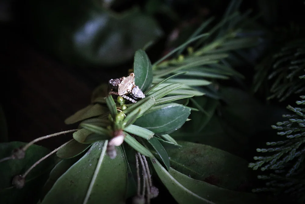 Parker-DeMarco_Wedding-3.jpg