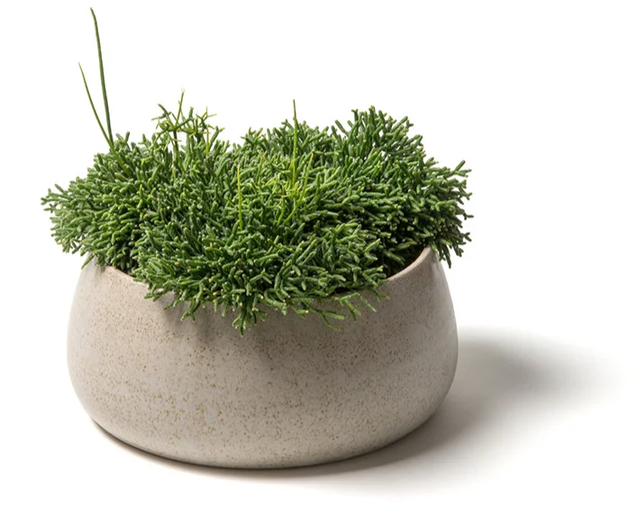Tufts large stoneware vessel