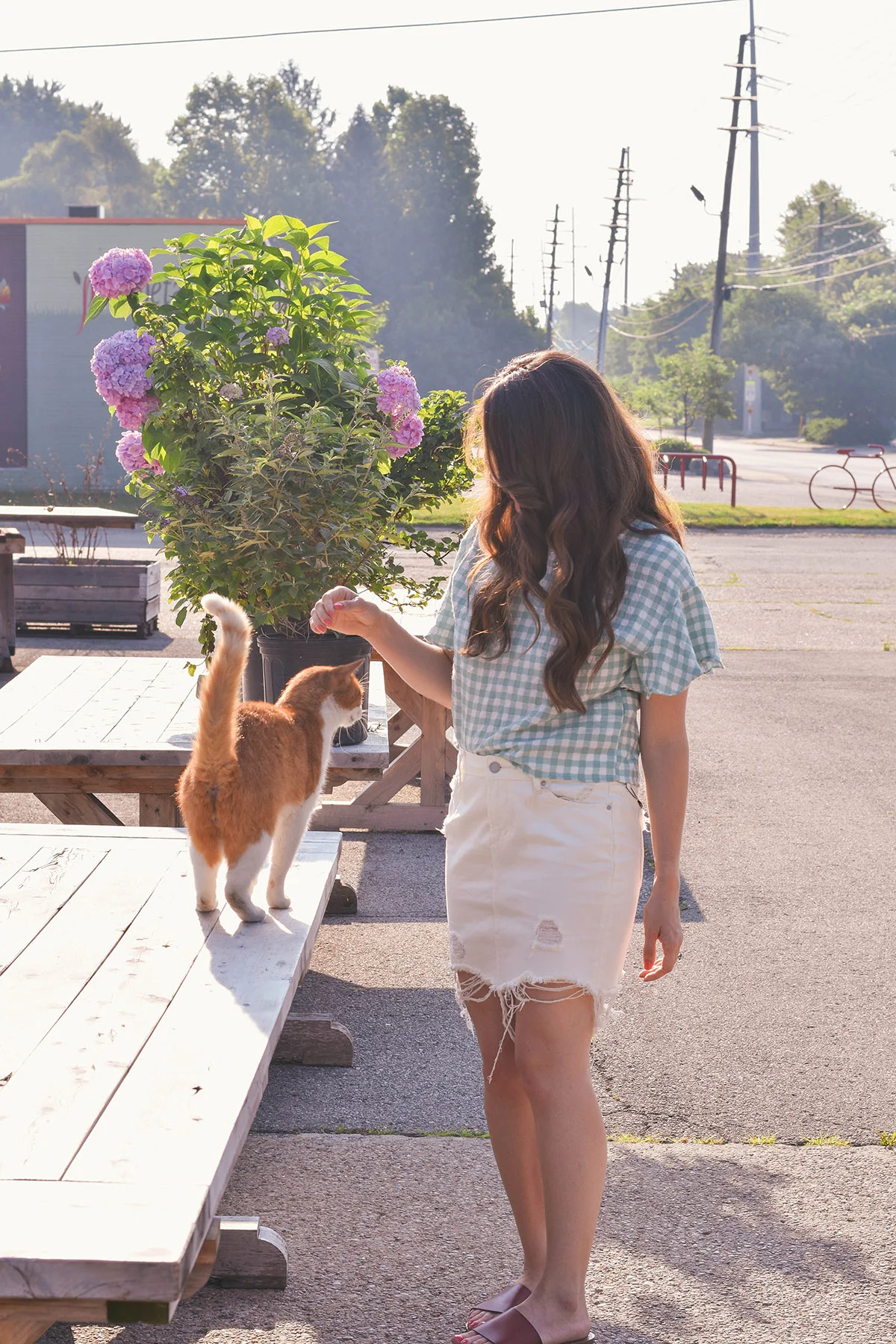 britt emery // lily & sparrow summer gingham