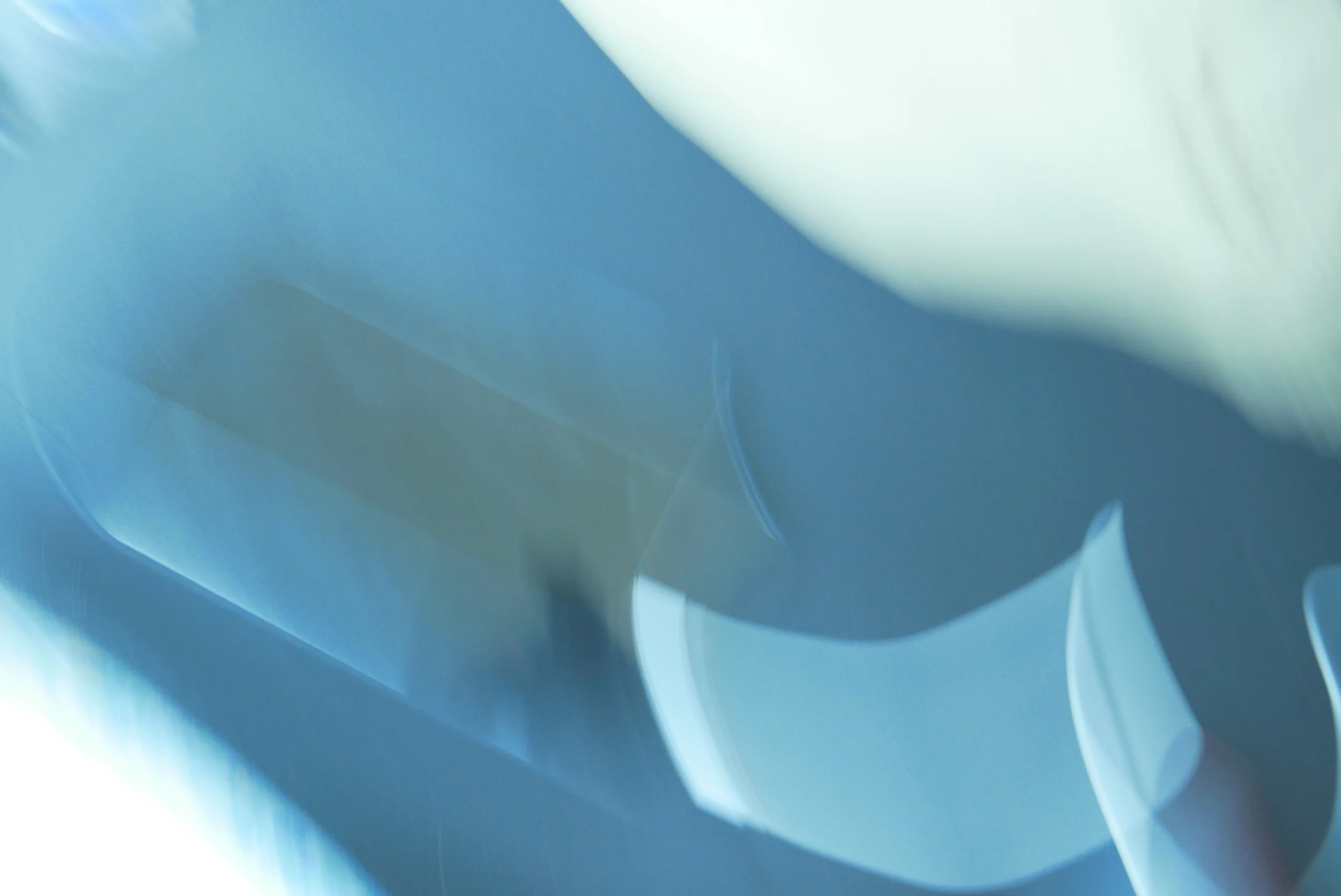  Blue is the warmest color 3 (2015):  Ink jet print, 20"x30"  