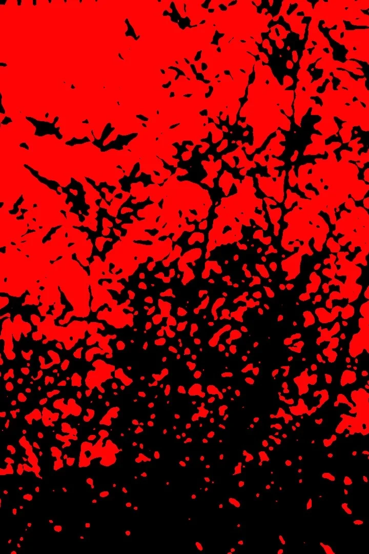  Untitled 1 (2012):  Ink jet print, 30"x20"  