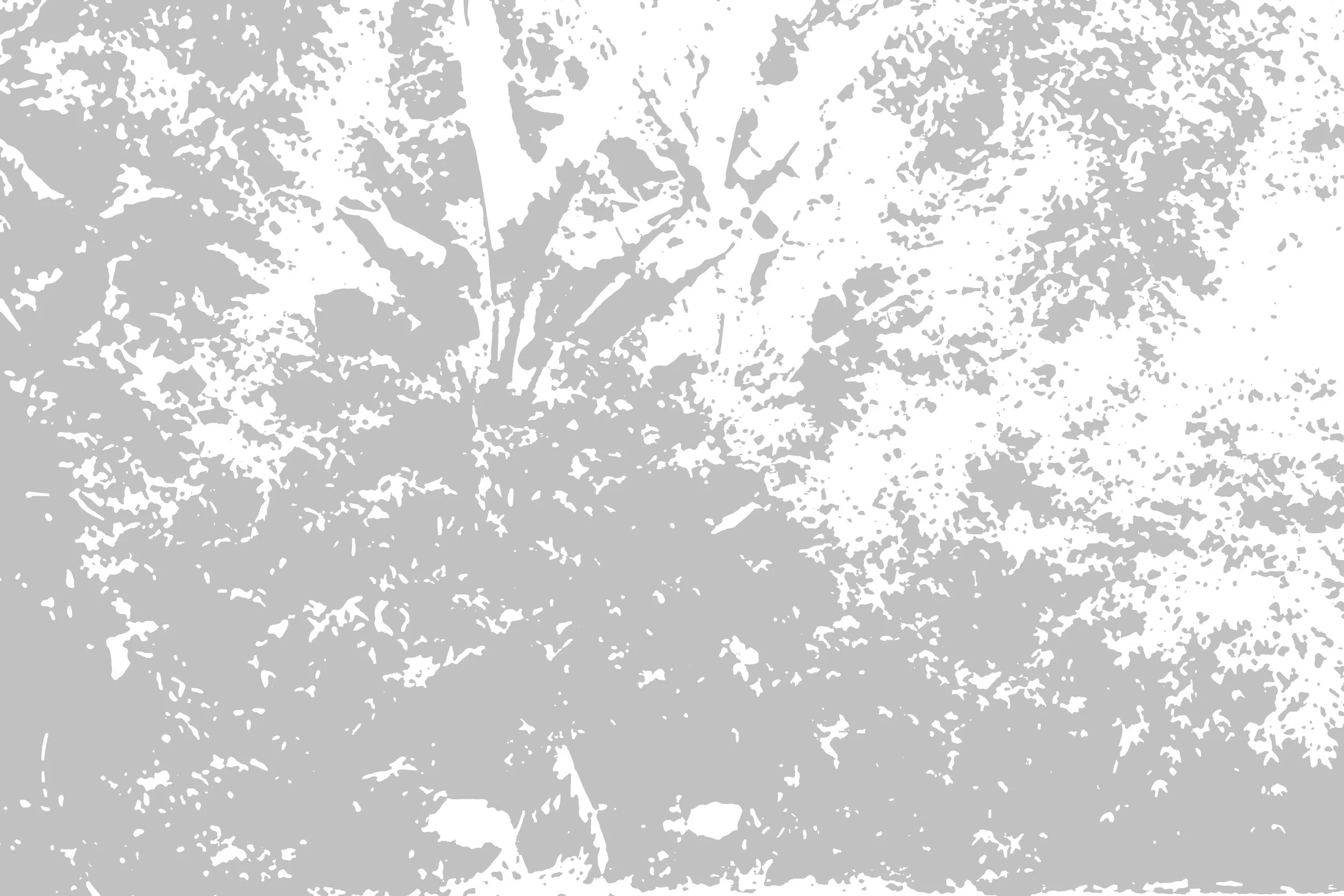  Untitled 2 (2012):  Ink jet print, 20"x30"  