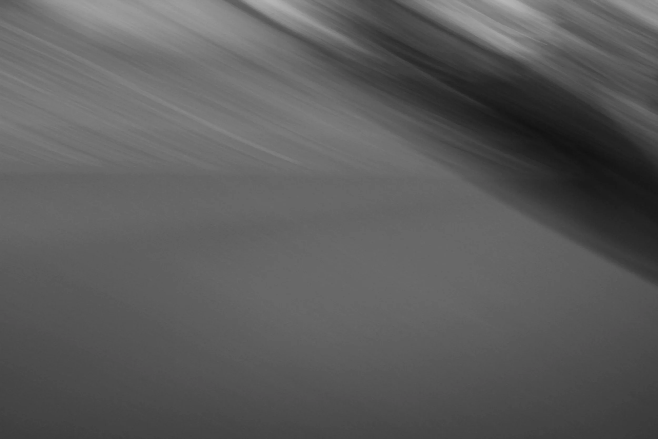  If only it could talk 3 (2011):  Ink jet print, 20"x30"  