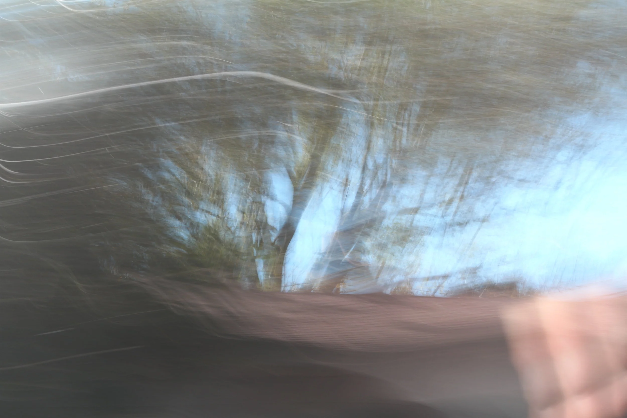  If only it could talk 7 (2011):  Ink jet print, 20"x30"  