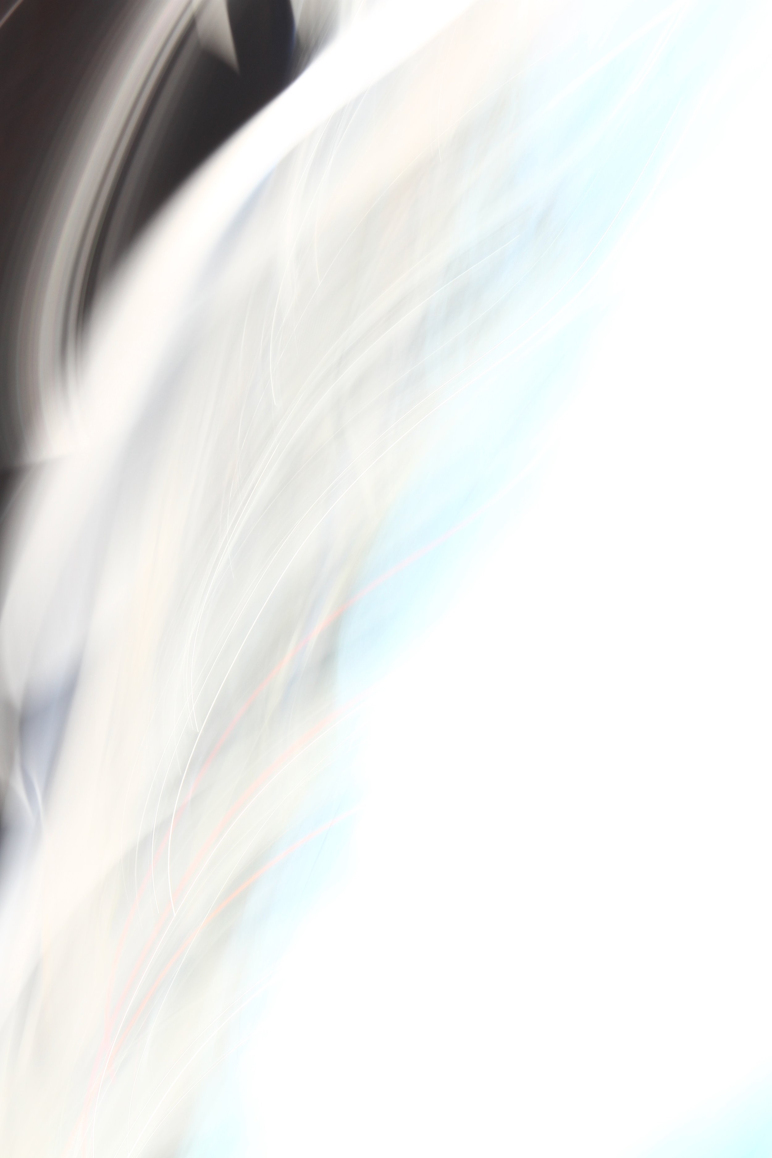  Motion (2011):  Ink jet print, 30"x20"  