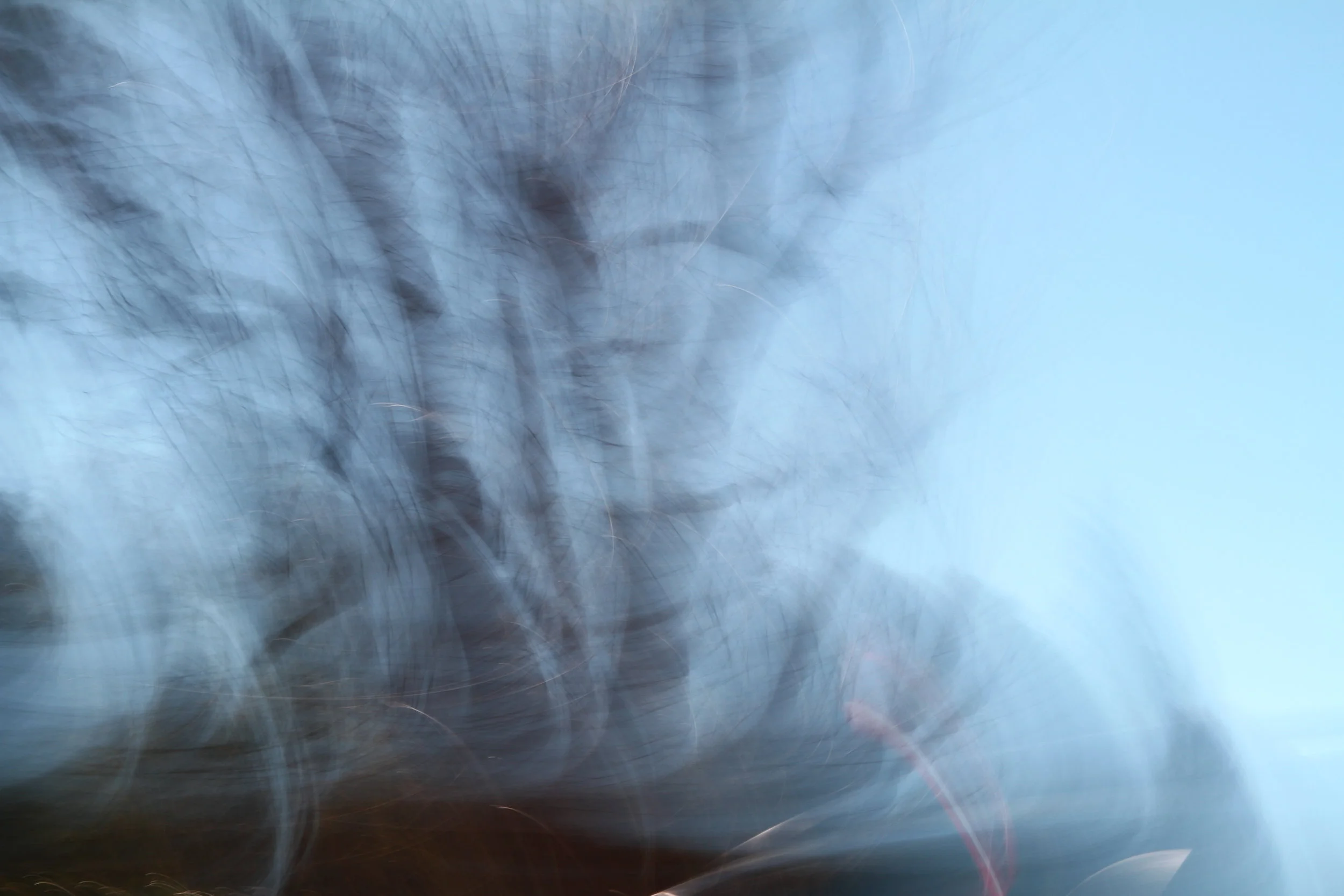  If only it could talk 12 (2011):  Ink jet print, 20"x30"  