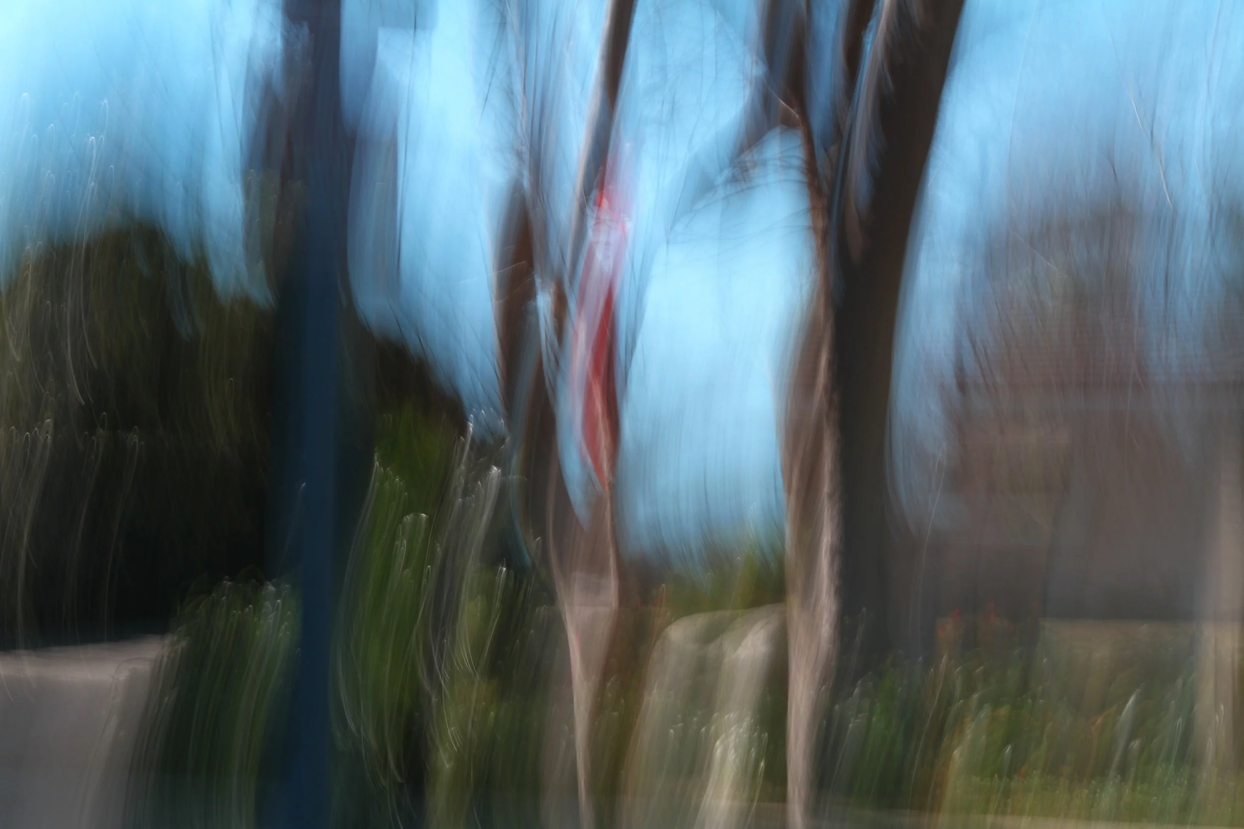  If only it could talk 13 (2011):  Ink jet print, 20"x30"  