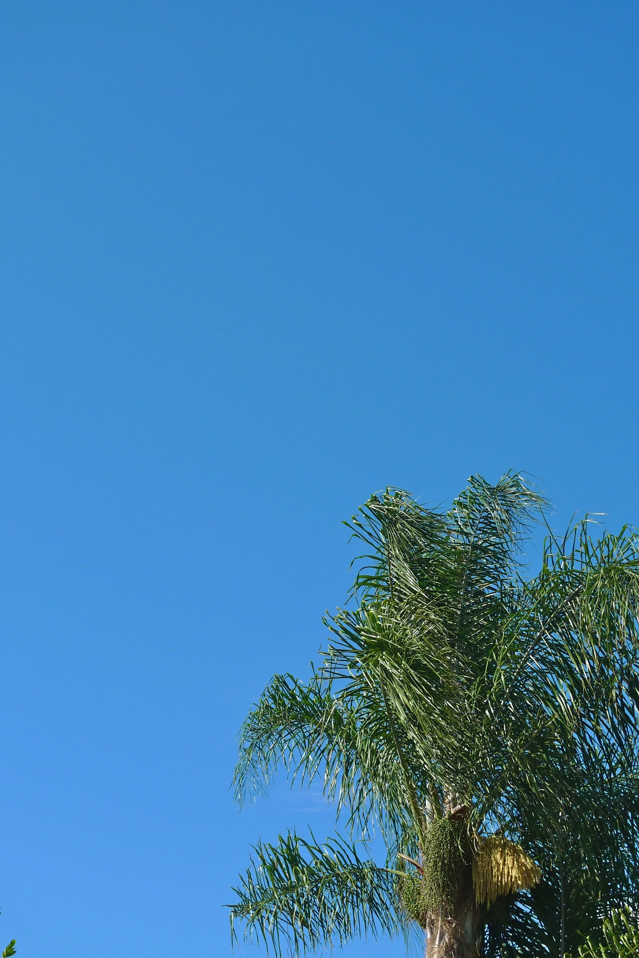  Blue green 3 (2011):  Ink jet print, 30"x20"  