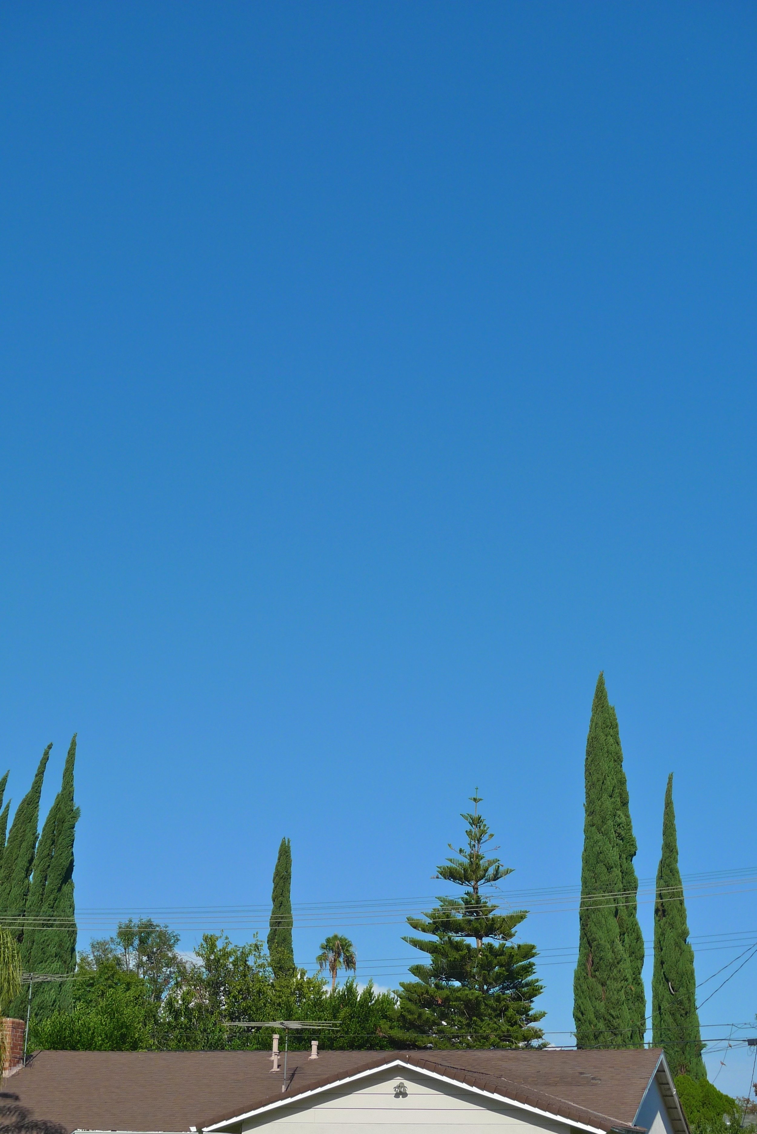  Blue green 5 (2011):  Ink jet print, 30"x20"  