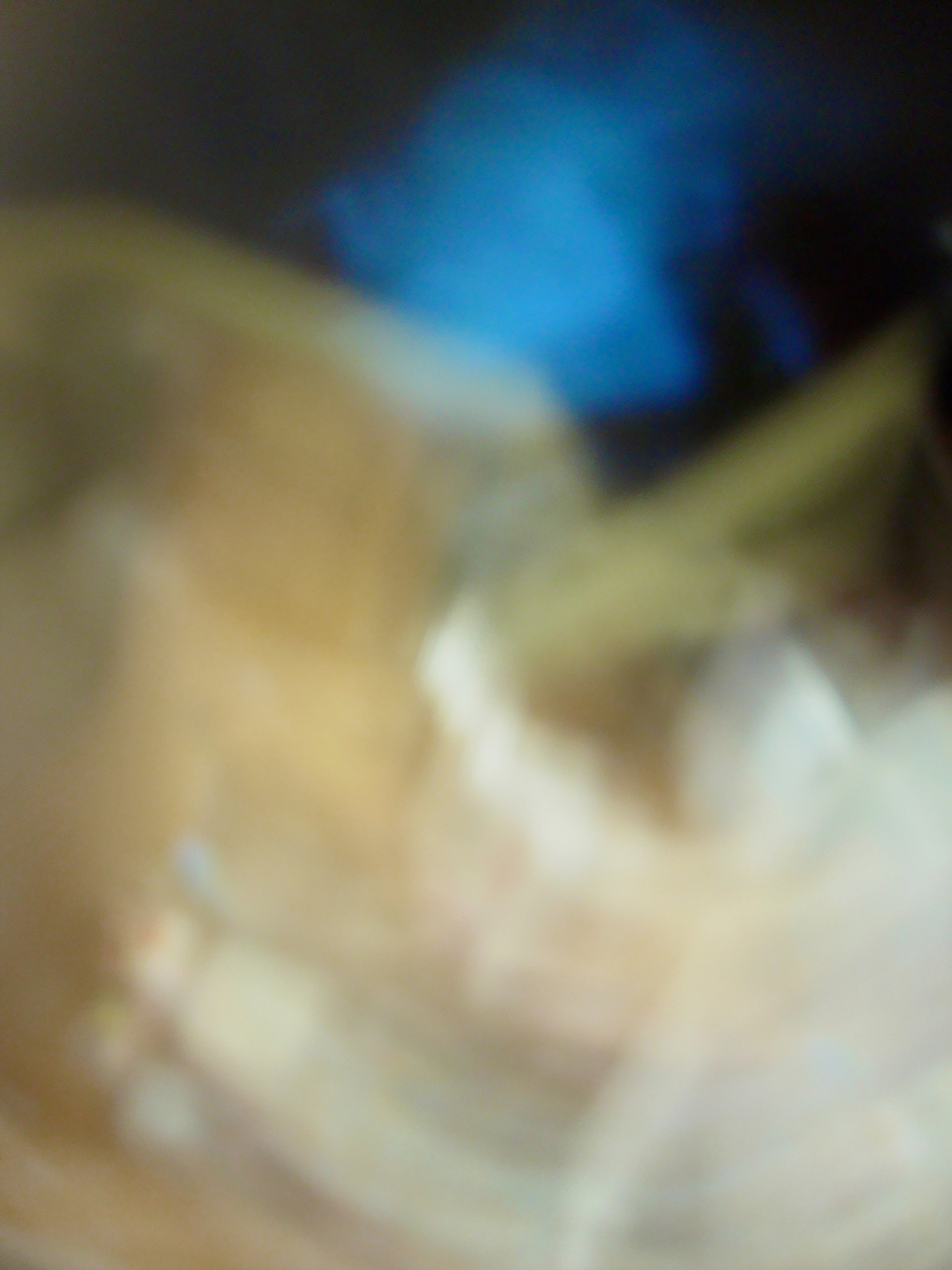  Impression 9 (2010):  Ink jet print, 30"x20"  