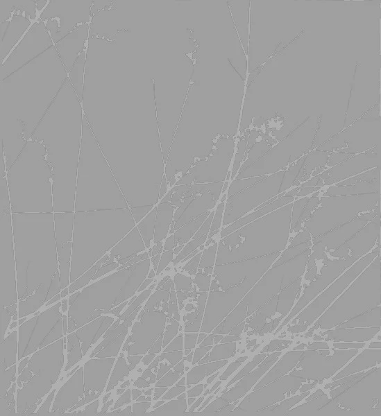  Peaks (2008):  Ink jet print, 24"x20"  