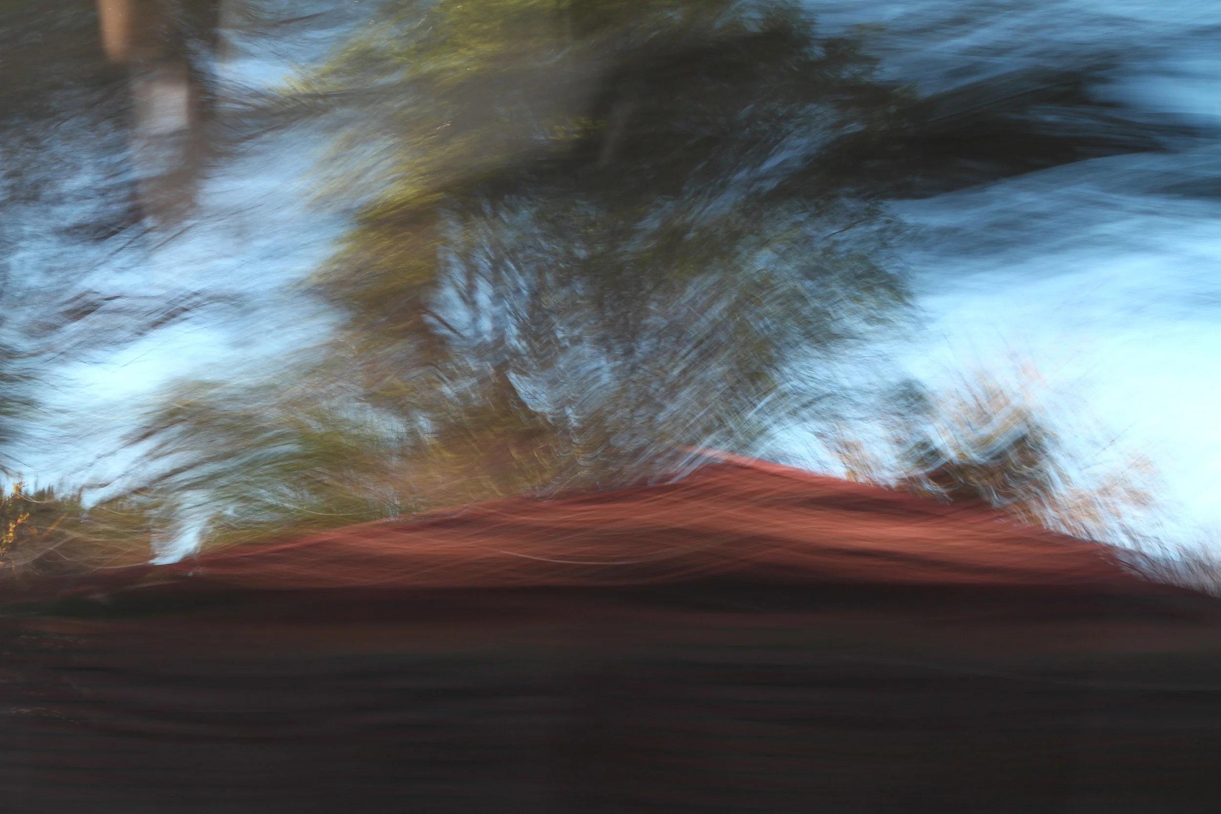  If only it could talk 15 (2011):  Ink jet print, 20"x30"  