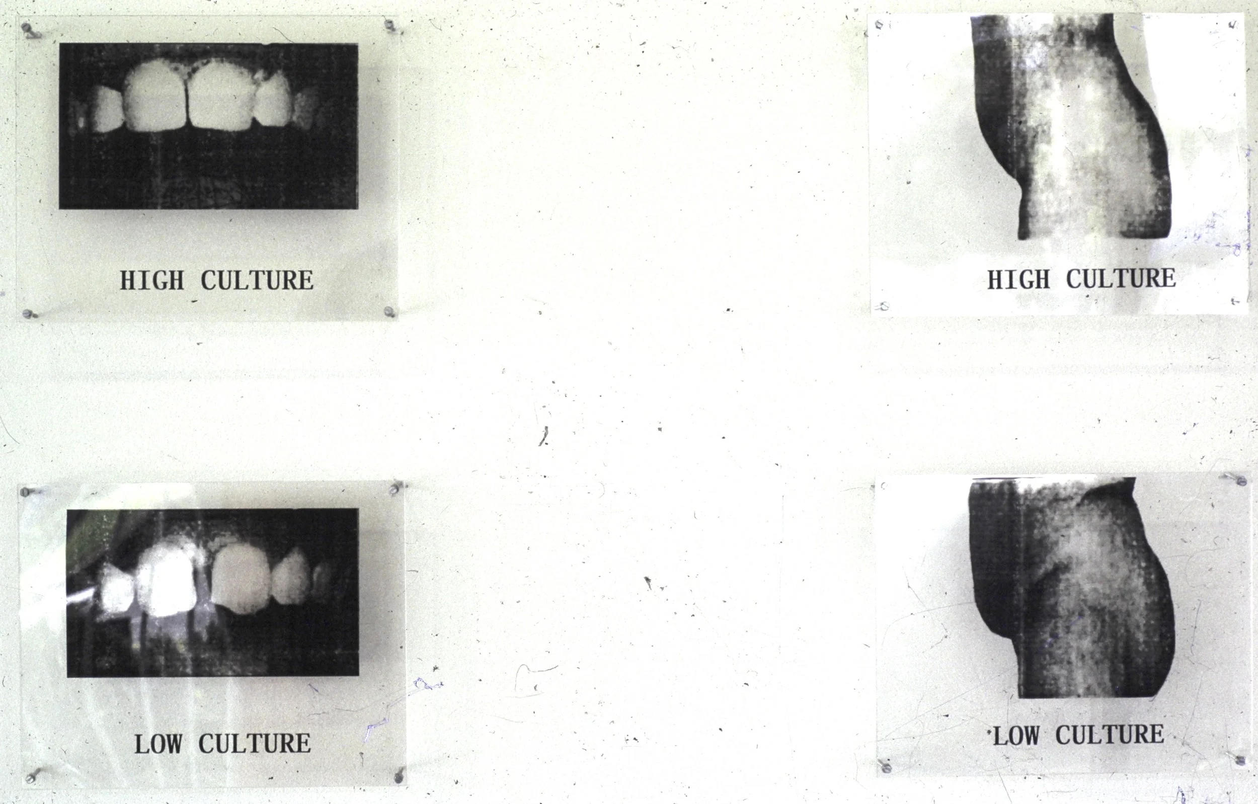  High and low 2 (1997): T ransparency, plexiglass, 8"x10" each  