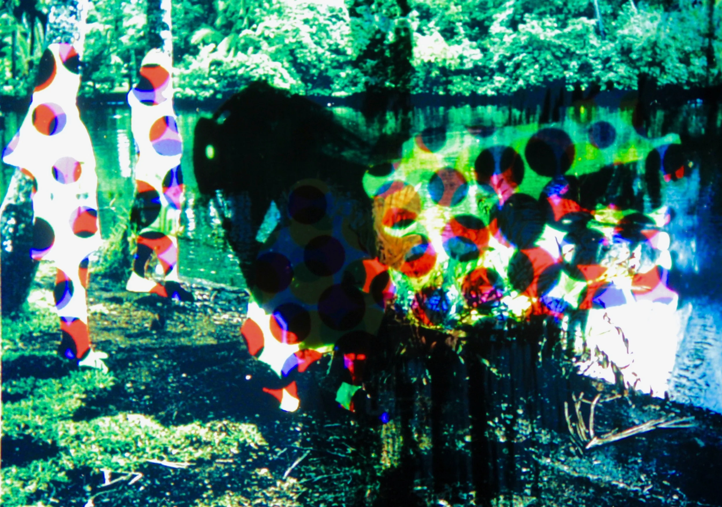  What where when (1997):  Ink jet print, 4"x6"  