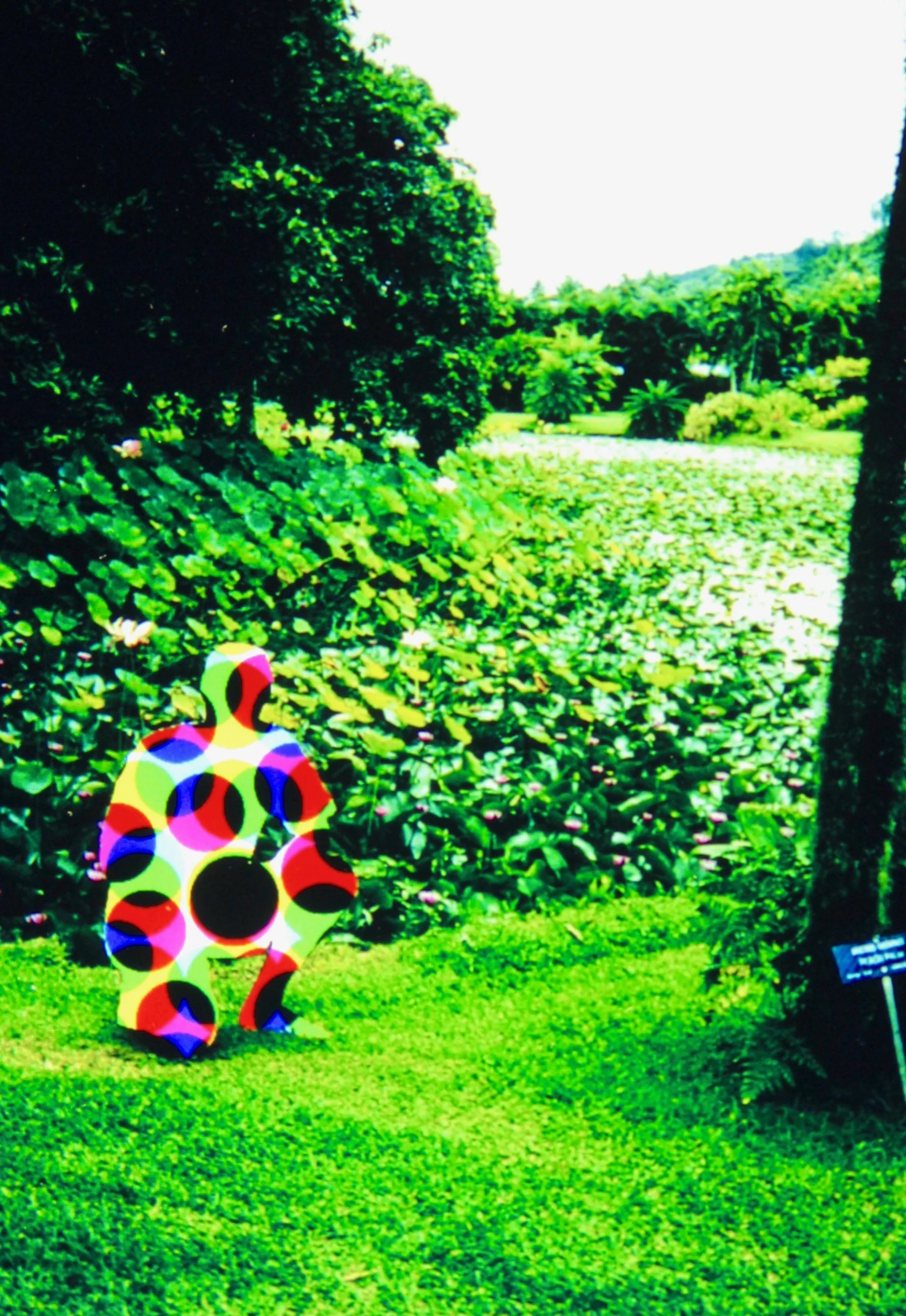  What where when (1997):  Ink jet print, 4"x6"  