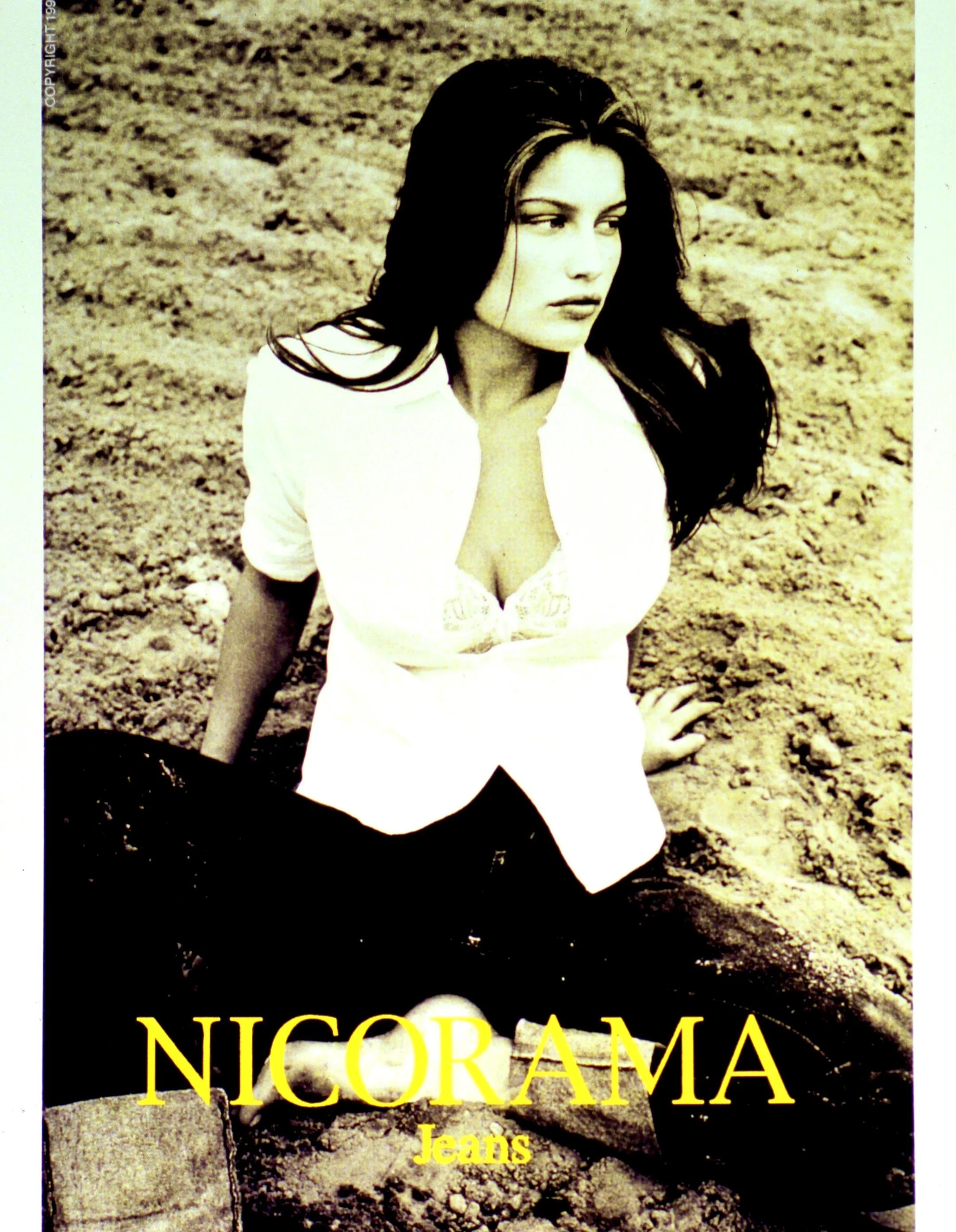  Nicorama logo 13 (1998):  Ink jet print, 10"x8"  