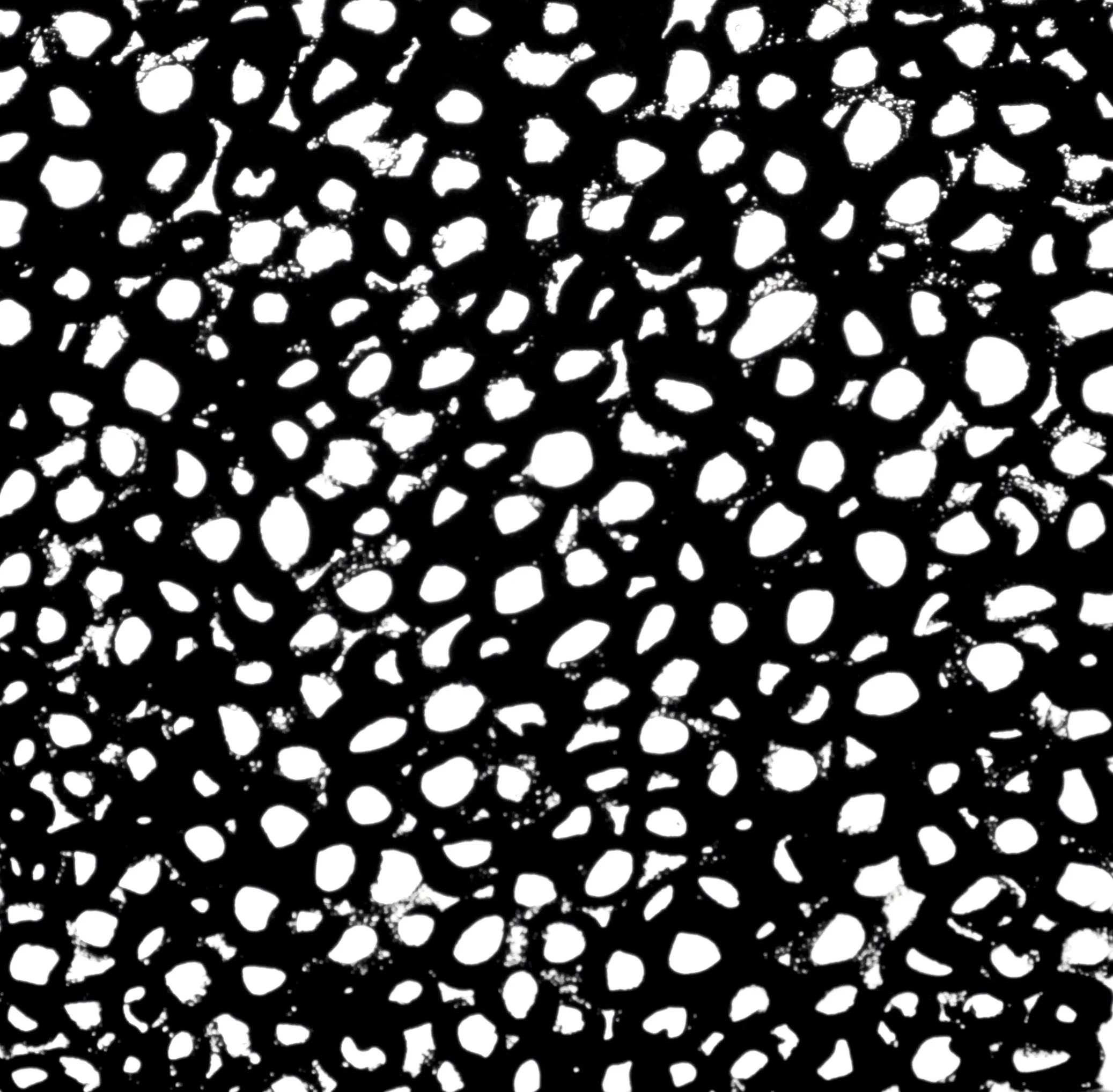  Yayoi 2 (1998):  Oil paint on canvas, 20"x20"  