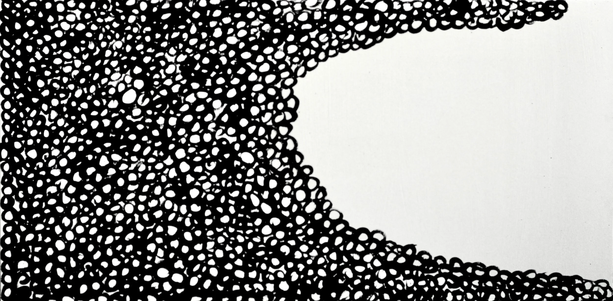  Yayoi 1 (1998):  Oil paint on canvas, 25"x55"  